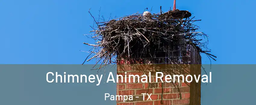  Chimney Animal Removal Pampa - TX
