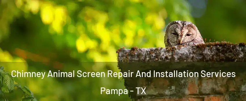  Chimney Animal Screen Repair And Installation Services Pampa - TX