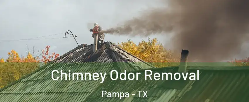  Chimney Odor Removal Pampa - TX