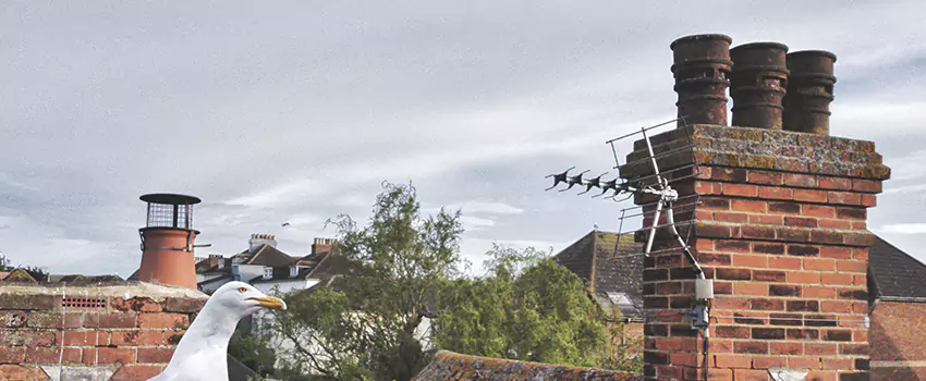 Chimney Cleaning And Restoration in Pampa, Texas