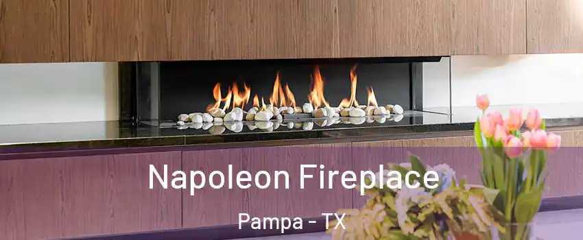  Napoleon Fireplace Pampa - TX